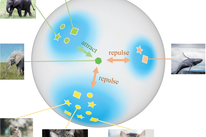 TPAMI 2024｜ProCo: 无限contrastive pairs的长尾对比学习