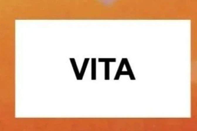 没有等来OpenAI开源GPT-4o，等来了开源版VITA