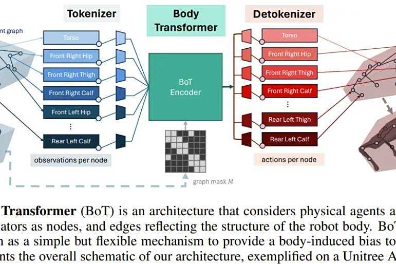 机器人策略学习的Game Changer？伯克利提出Body Transformer
