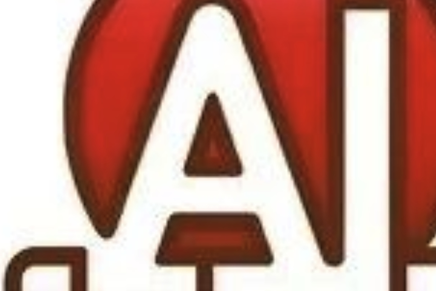 全模态对齐框架align-anything来啦：实现跨模态指令跟随