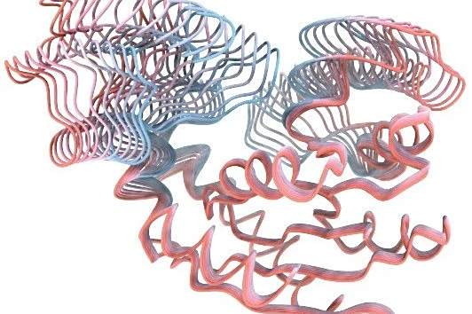 ByteDance Research登Nature子刊：AI+冷冻电镜，揭示蛋白质动态