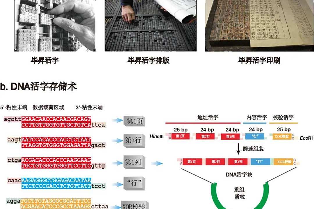 「毕昇一号」DNA活字存储喷墨打印机来了，全自动的DNA存储