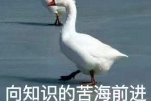 无需数据配对，文本嵌入也能互通？康奈尔研究：所有模型殊途同归