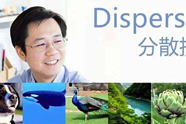 何恺明改进了谢赛宁的REPA：极大简化但性能依旧强悍