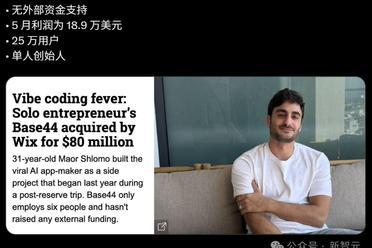 31岁程序员搞副业喜提8000万刀退休金！氛围编程公司被光速收购