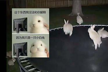 这个5亿播放的AI视频，邪乎得平平无奇