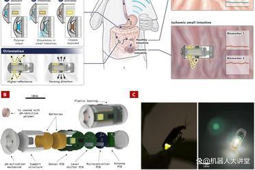 Science Robotics发表！MIT开发FIREFLI可吞服胶囊设备，诊断肠系膜缺血准确率超90%