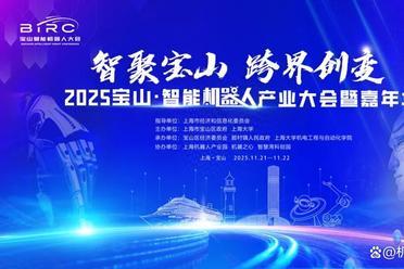 2025宝山·智能机器人产业大会暨嘉年华，邀您共赴科技盛宴