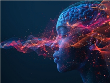 白宫暂停联邦指令：美国州级 AI 监管将继续有效