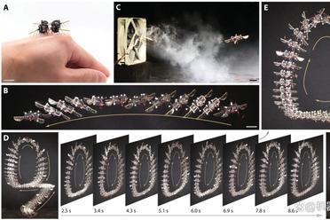 速度提升447%！MIT成果登《Science》子刊，算法解锁微型机器人“昆虫级”敏捷飞行