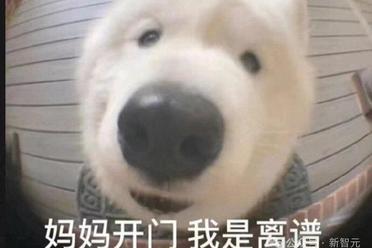 斯坦福人均≈0.1张GPU！学术界算力遭「屠杀」，LeCun急了