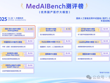 蚂蚁·安诊儿医疗大模型：正式开源并登顶权威医疗榜单