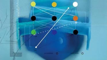 把AI当作生命体研究后，科学家发现了它怪异的生物特性