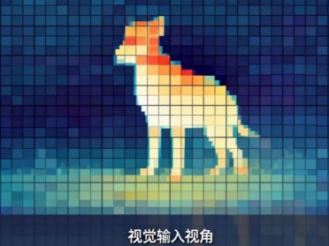 Attention真的可靠吗？上海大学联合南开大学揭示多模态模型中一个被忽视的重要偏置问题