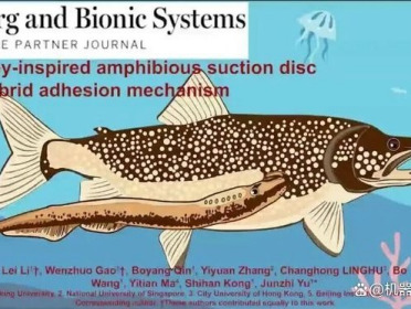 登上Science合作期刊！北大喻俊志团队打造两栖“超级吸盘”，灵感源自七鳃鳗，吸附力超自重850倍，可在各类表面稳定吸附