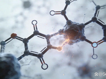 构建跨越时空的微观实验室：KIMMDY 仿真器实现秒级生物化学反应的动态模拟