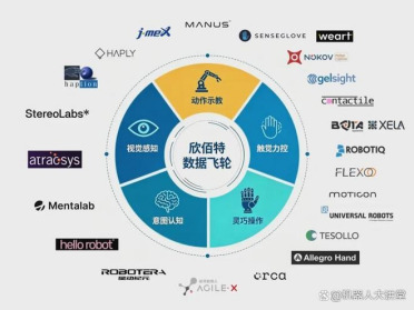 告别数据荒与选型难！欣佰特打造具身智能全场景数采方案“全家桶”