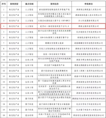 麦芽 AI 入选省级优秀典型案例！湖南元数科技领跑未来产业新赛道