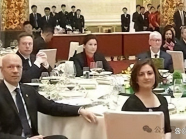 坐到马斯克和库克中间的湖南女人
