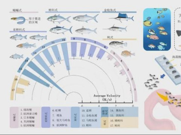 鱼群多样性启发！北理工团队发表Science子刊新作，让微机器人像鱼群一样“各司其职”