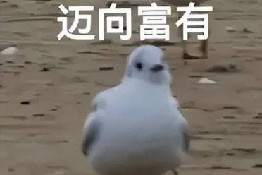 英伟达各岗位薪资曝光：最贵的不是AI研究员，基本工资200万/年的扎堆