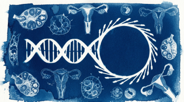 英法携手推进AI医疗研究合作，聚焦女性健康与生物医学领域