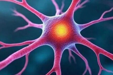CVPR 2026｜视觉脑机迈向双向交互！神经流模型 NeuroFlow 打通视觉与神经的双向通道