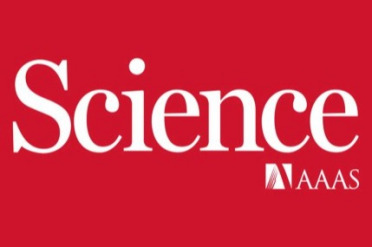 登上Science，仿生新思路！软体执行器可用于微创自主肿瘤切除