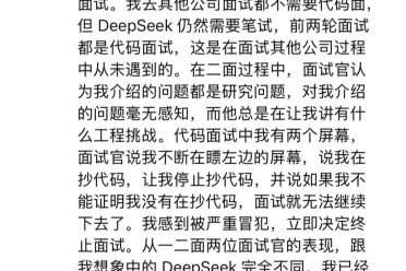 DeepSeek招聘被「华为天才少年」公开吐槽，“面到最不专业的”