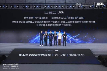 WAIC世界模型「六小龙」同台，这个赛道杀出一家全栈玩家