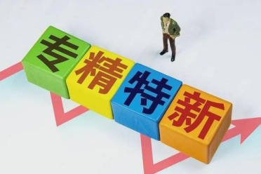 国家级“小巨人”申报：为什么专业的事要交给专业的人？