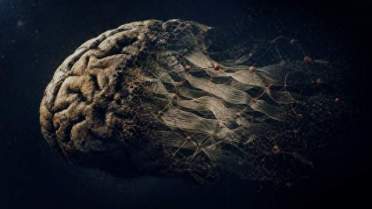 人死后大脑为何能保存上万年？牛津团队揭开古脑保存之谜