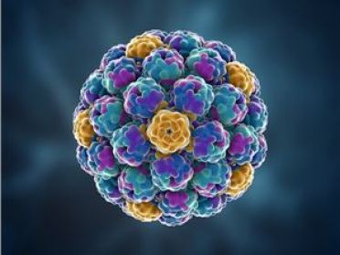AI 写出 70 万份病毒基因组，16 个在实验室“活了”：生成式生物学的里程碑与安全拷问
