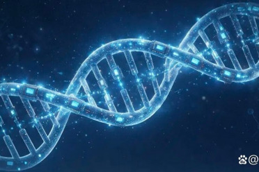 ICML 2026｜DNA大模型不止于LLM，湖南大学OpticalDNA开启视觉理解新范式