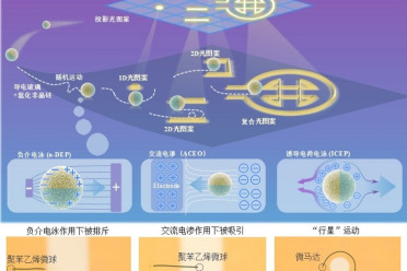会“预判路线”的微马达？北理工团队Science子刊新作，让多个微马达在可重构光致电场中“各行其道”