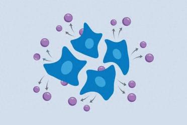 MIT新技术：不用杀死细胞，就能持续读取它的RNA