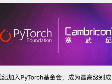 刚刚，寒武纪拿下PyTorch最高席位！与英伟达同桌