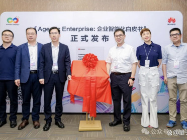 华为首发企业AI白皮书：AI让员工更快了，怎样让整个企业受益？