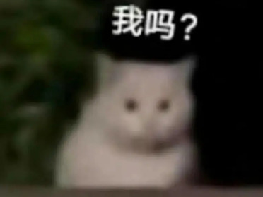 何恺明团队新作：看猫片就能学会ARC挑战