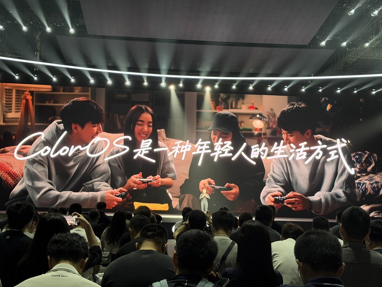 图源:不客观实验室 图源:不客观实验室